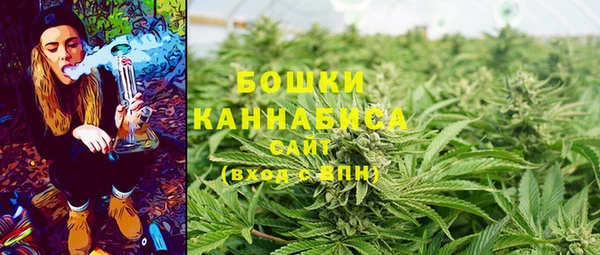 дмт Надым