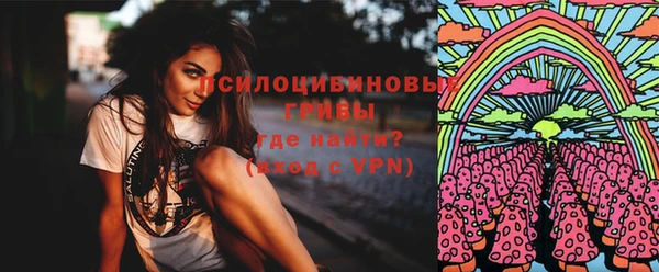 прущие грибы Билибино