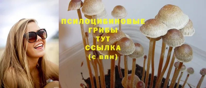 даркнет сайт  Тюкалинск  Галлюциногенные грибы Cubensis 