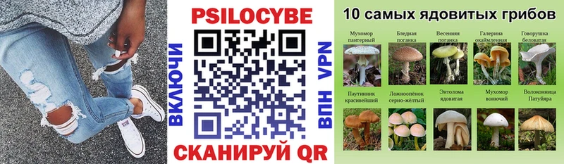 kraken как зайти  цена   Тюкалинск  Галлюциногенные грибы Psilocybine cubensis 