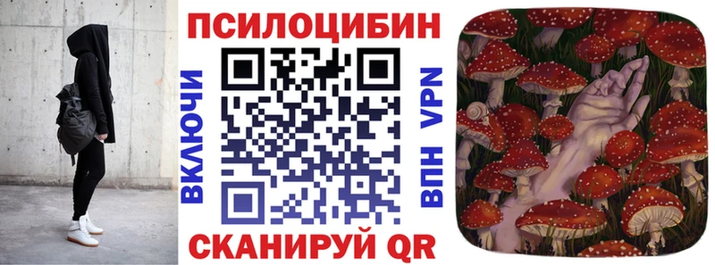 Псилоцибиновые грибы Psilocybine cubensis Тюкалинск